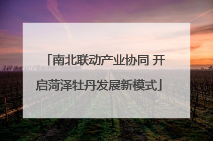 南北联动产业协同 开启菏泽牡丹发展新模式