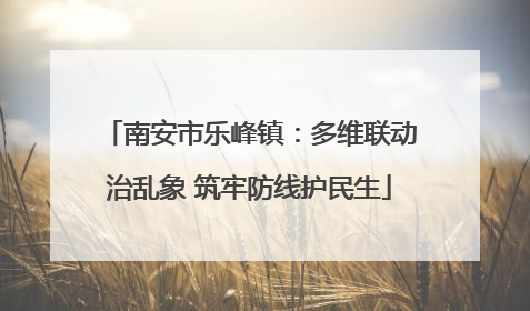 南安市乐峰镇：多维联动治乱象 筑牢防线护民生