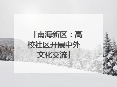 南海新区：高校社区开展中外文化交流
