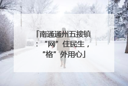 南通通州五接镇：“网”住民生，“格”外用心