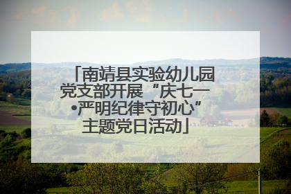 南靖县实验幼儿园党支部开展“庆七一•严明纪律守初心”主题党日活动