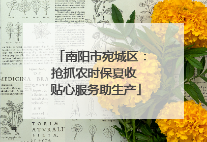 南阳市宛城区：抢抓农时保夏收 贴心服务助生产