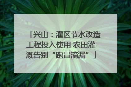 兴山：灌区节水改造工程投入使用 农田灌溉告别“跑冒滴漏”
