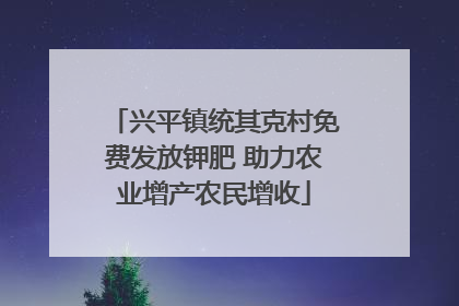 兴平镇统其克村免费发放钾肥 助力农业增产农民增收