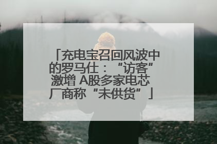 充电宝召回风波中的罗马仕：“访客”激增 A股多家电芯厂商称“未供货”