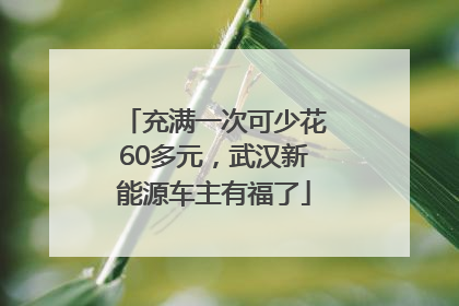 充满一次可少花60多元，武汉新能源车主有福了