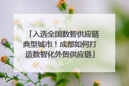 入选全国数智供应链典型城市！成都如何打造数智化外贸供应链