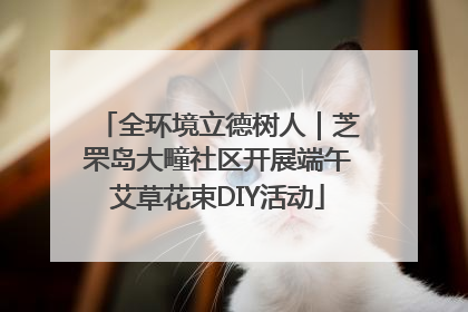 全环境立德树人｜芝罘岛大疃社区开展端午艾草花束DIY活动