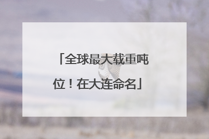 全球最大载重吨位！在大连命名
