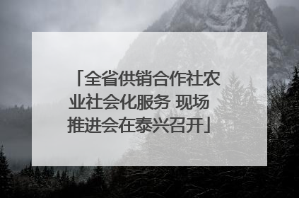 全省供销合作社农业社会化服务 现场推进会在泰兴召开