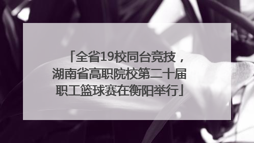 全省19校同台竞技，湖南省高职院校第二十届职工篮球赛在衡阳举行