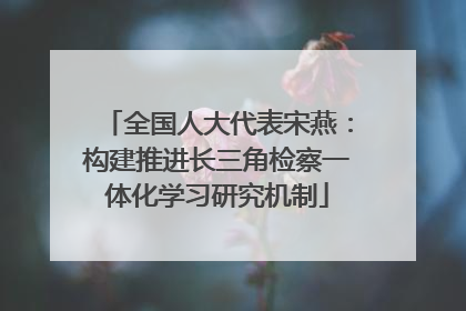 全国人大代表宋燕：构建推进长三角检察一体化学习研究机制