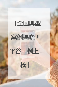 全国典型案例揭晓！平谷一例上榜