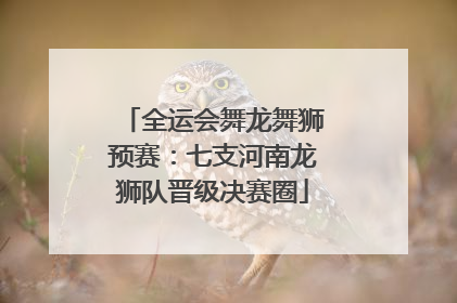 全运会舞龙舞狮预赛：七支河南龙狮队晋级决赛圈