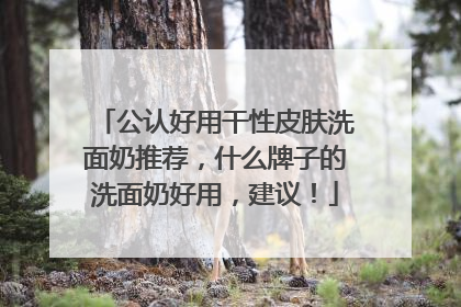 公认好用干性皮肤洗面奶推荐，什么牌子的洗面奶好用，建议！