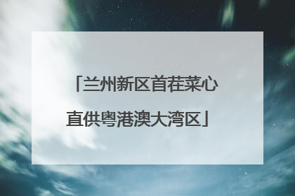 兰州新区首茬菜心直供粤港澳大湾区