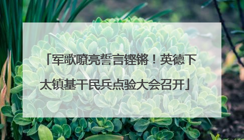 军歌嘹亮誓言铿锵！英德下太镇基干民兵点验大会召开