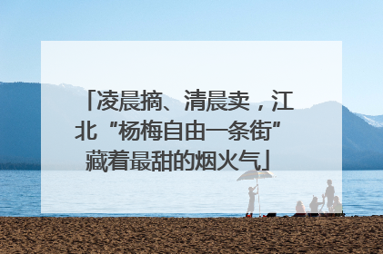 凌晨摘、清晨卖，江北“杨梅自由一条街”藏着最甜的烟火气