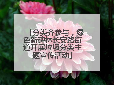 分类齐参与，绿色新碑林长安路街道开展垃圾分类主题宣传活动