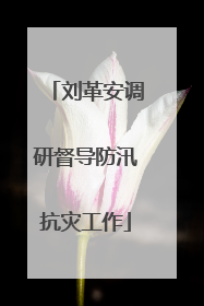 刘革安调研督导防汛抗灾工作