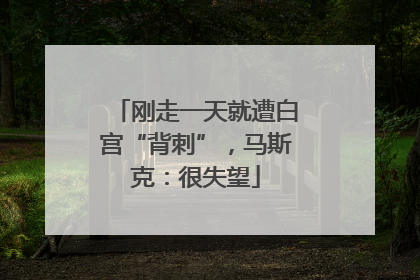 刚走一天就遭白宫“背刺”，马斯克：很失望