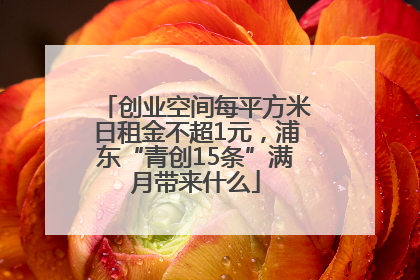 创业空间每平方米日租金不超1元，浦东“青创15条”满月带来什么