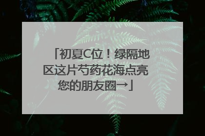 初夏C位！绿隔地区这片芍药花海点亮您的朋友圈→