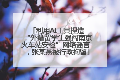 利用AI工具捏造 “外籍留学生强闯南京火车站安检”网络谣言，张某燕被行政拘留