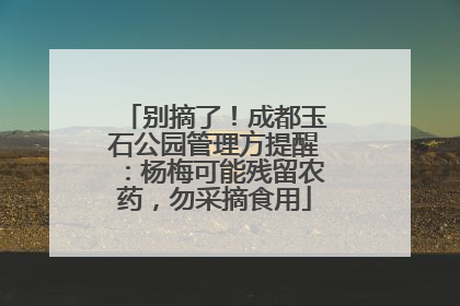 别摘了！成都玉石公园管理方提醒：杨梅可能残留农药，勿采摘食用