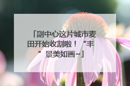 副中心这片城市麦田开始收割啦！“丰”景美如画~