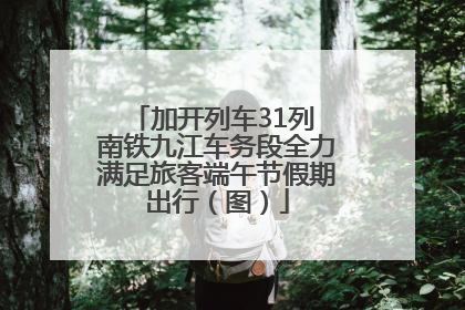 加开列车31列 南铁九江车务段全力满足旅客端午节假期出行（图）