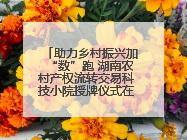 助力乡村振兴加“数”跑 湖南农村产权流转交易科技小院授牌仪式在长沙举行