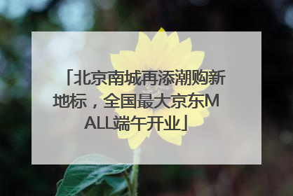 北京南城再添潮购新地标，全国最大京东MALL端午开业