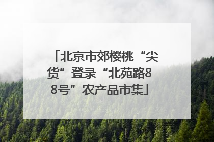 北京市郊樱桃“尖货”登录“北苑路88号”农产品市集