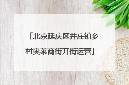 北京延庆区井庄镇乡村奥莱商街开街运营