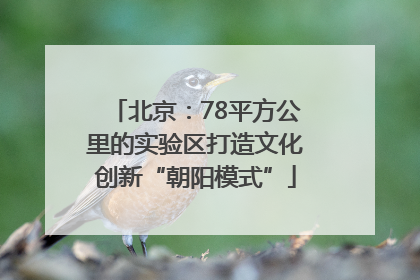北京：78平方公里的实验区打造文化创新“朝阳模式”