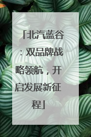 北汽蓝谷：双品牌战略领航，开启发展新征程