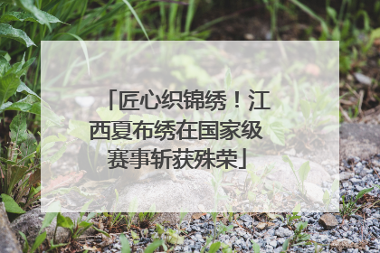 匠心织锦绣！江西夏布绣在国家级赛事斩获殊荣