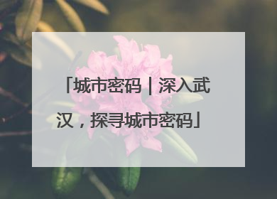 城市密码｜深入武汉，探寻城市密码