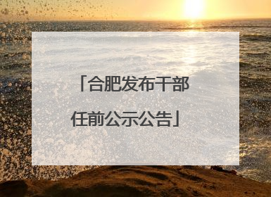 合肥发布干部任前公示公告