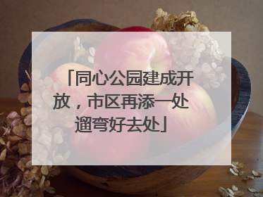 同心公园建成开放，市区再添一处遛弯好去处
