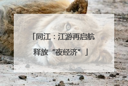 同江：江游再启航 释放“夜经济”
