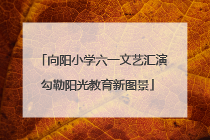 向阳小学六一文艺汇演勾勒阳光教育新图景