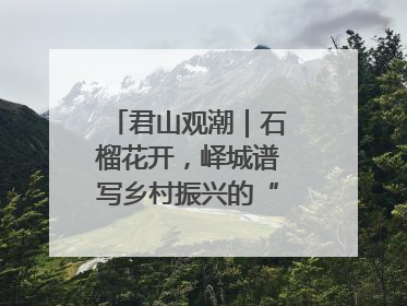 君山观潮｜石榴花开，峄城谱写乡村振兴的“新”篇章