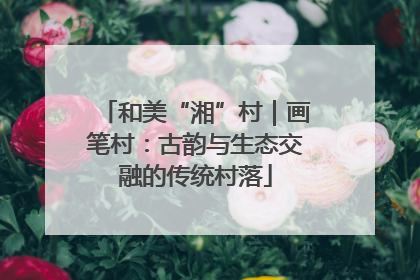 和美“湘”村｜画笔村：古韵与生态交融的传统村落