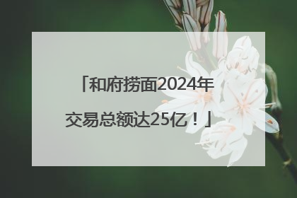 和府捞面2024年交易总额达25亿！