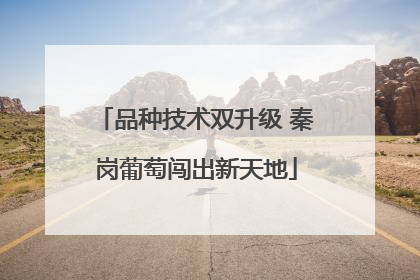 品种技术双升级 秦岗葡萄闯出新天地