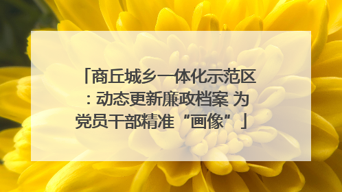 商丘城乡一体化示范区：动态更新廉政档案 为党员干部精准“画像”