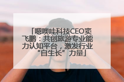 嗯噢哇科技CEO窦飞鹏：共创旅游专业能力认知平台，激发行业“自生长”力量