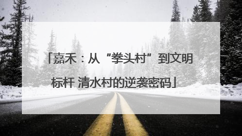 嘉禾：从“拳头村”到文明标杆 清水村的逆袭密码